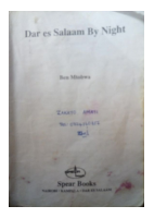 DAR ES SALAAM BY NIGHT.pdf